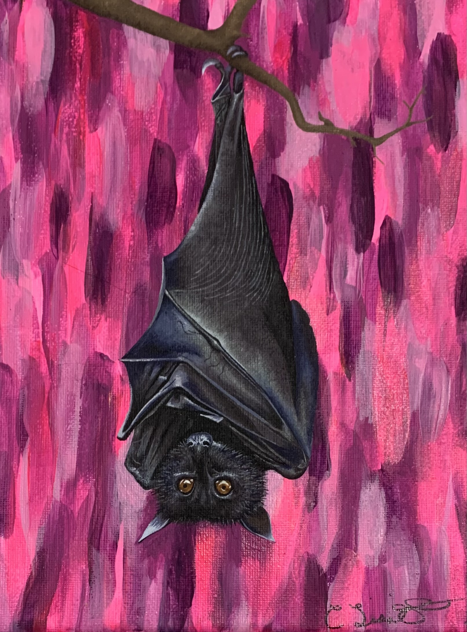 PaintEater Illustration of bat